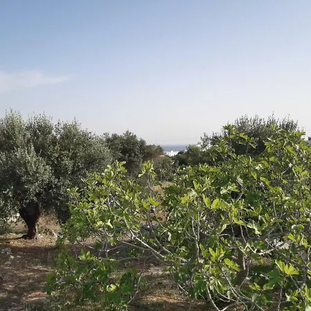 Casa vacanze Faro Dei Due Mari *